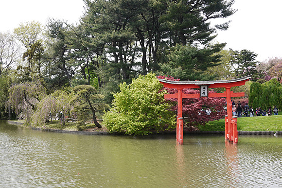 Brooklyn Botanic Garden, Japanese garden