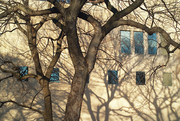 Art of the Facade (2)