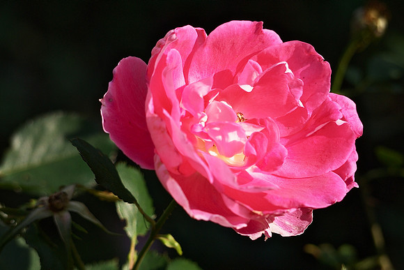P1040386