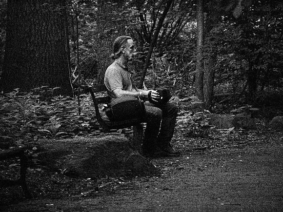 Squeezebox Player, Central Park, Dusk