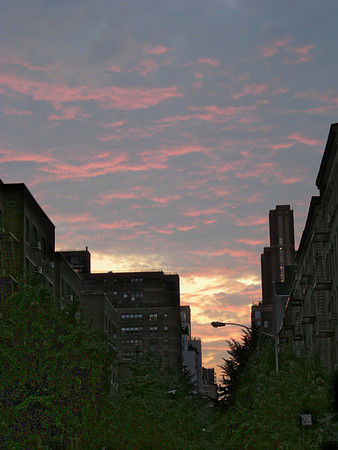 DSCN5645