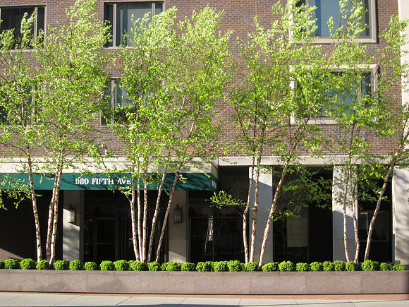 East 79th Street