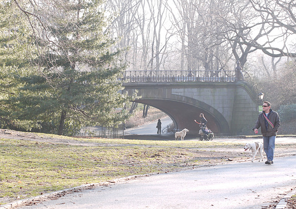 Winterdale Arch
