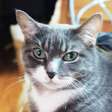 Lucy Furr