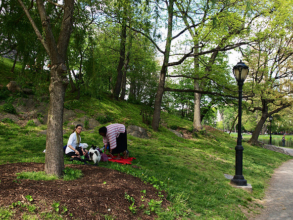 Picnic by Harlem Meer
