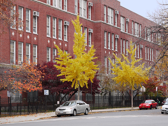 Sedgwick Avenue, Bronx NY