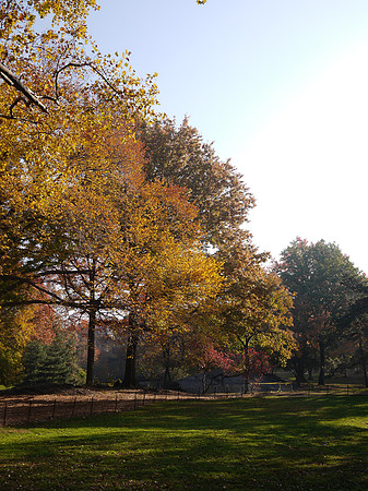 Central Park