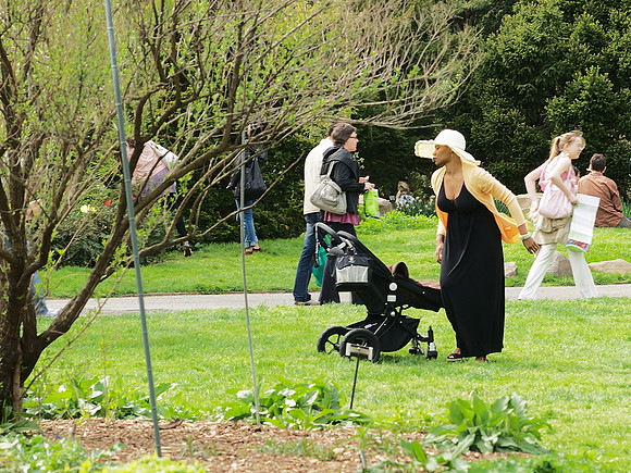 Hanami