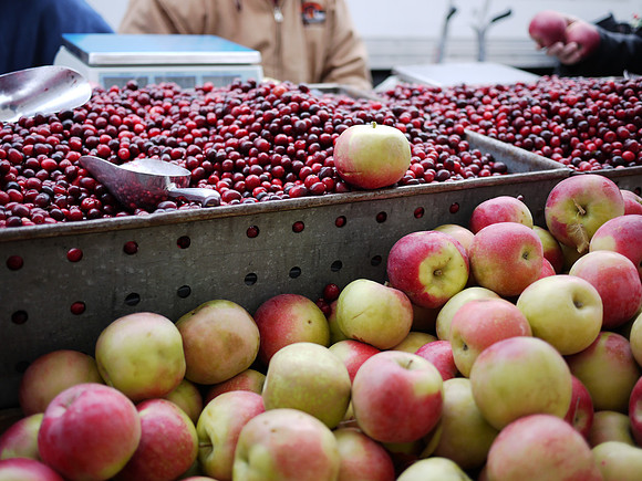 Apples and cranberries, for sale