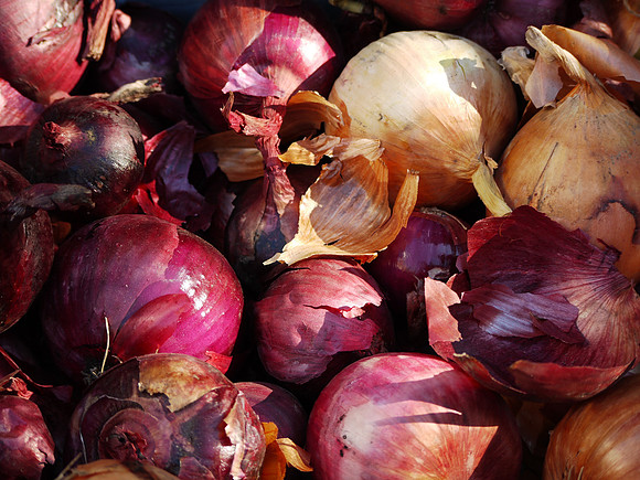 Greenmarket onions
