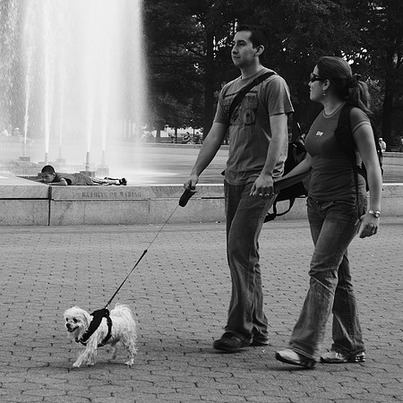 Around the Unisphere, Late Summer