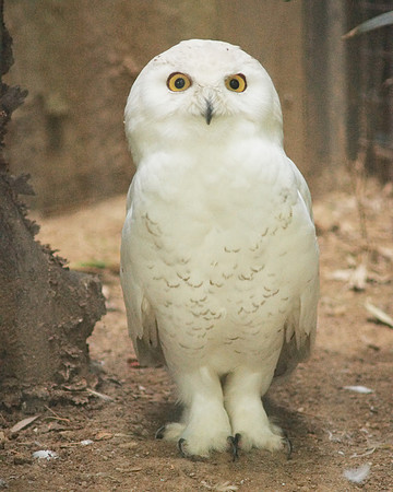 HELLO!