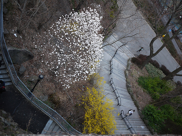 Morningside Park