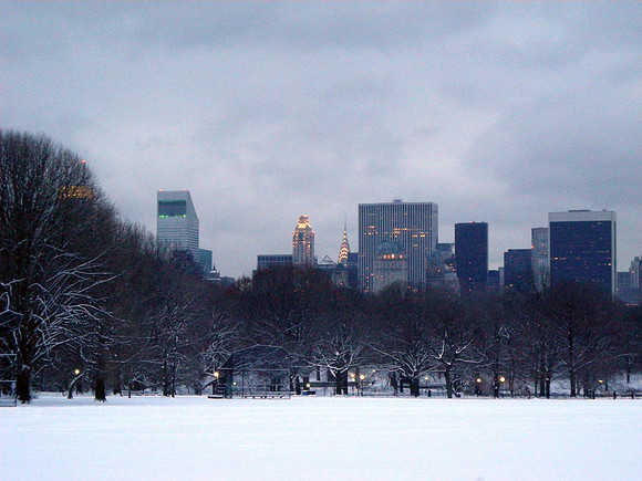 great lawn, winter dusk