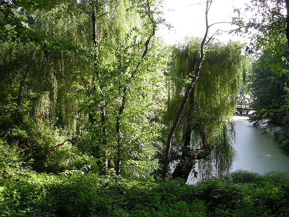 at The Lake, Central Park
