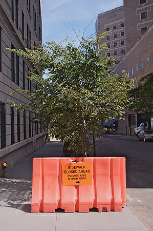 DO NOT APPROACH TREE