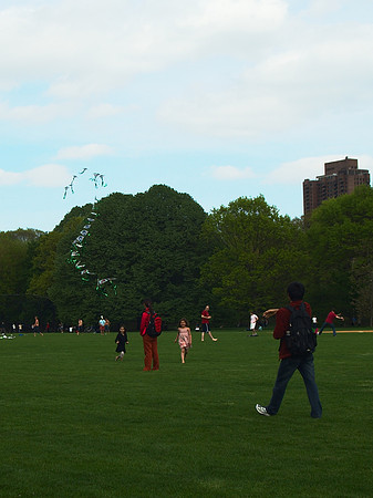 chasing the kite