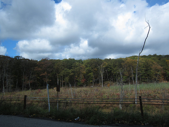 Greene County
