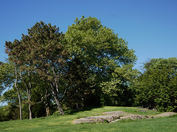 Cedar Hill, Spring