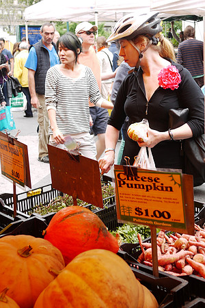 At the Union Square greenmarket