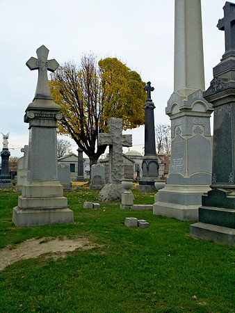 St. Raymond's Cemetery, Bronx NY