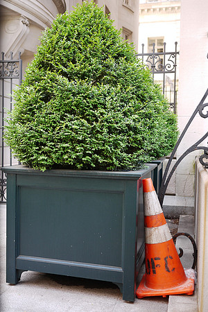 Cones