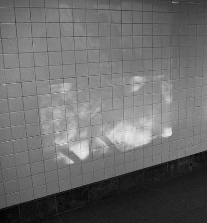 Subway entrance wall, 81st St. and Central Park West