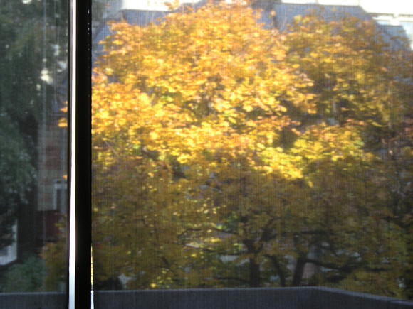 glowing tree (3)