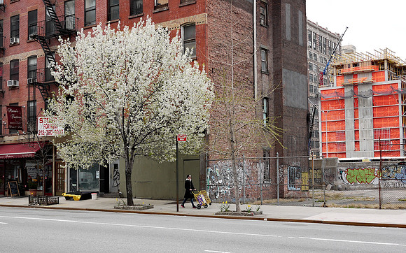 Spring on Ninth Avenue