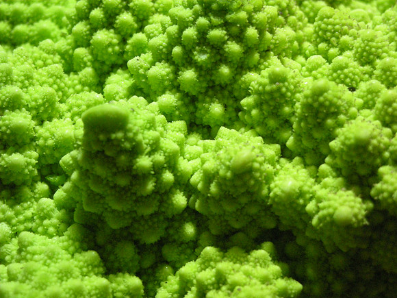 eldritch broccoli