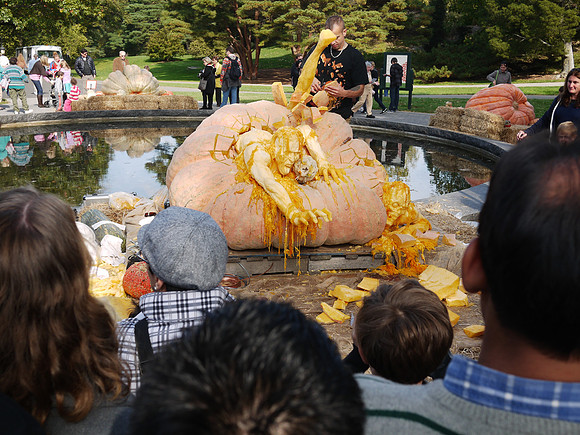 Pumpkin carving, NY Botanical Garden