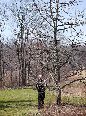 Photography at Longwood Gardens