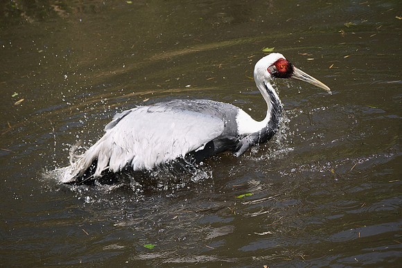 Cooling off