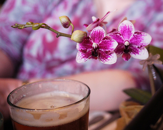 Phalaenopsis and beer