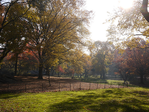 Central Park