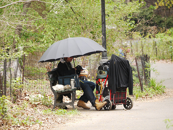 Central Park