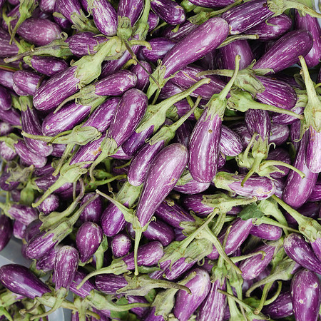 Purple Okra, Union Square Greenmarket