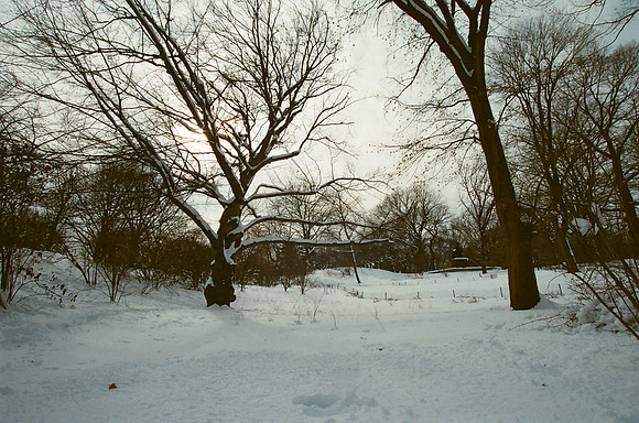 Central Park, past Greywacke Arch