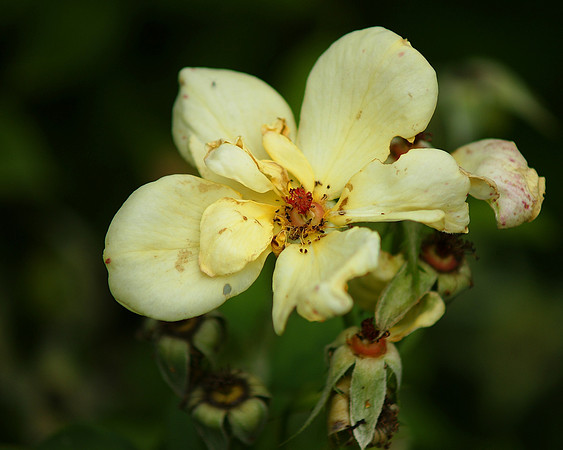 What you know
