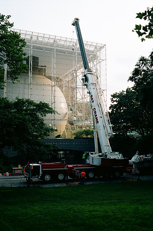 Crane, Rose Center