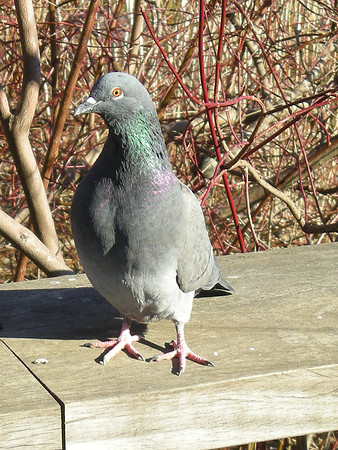 are you looking at me?
