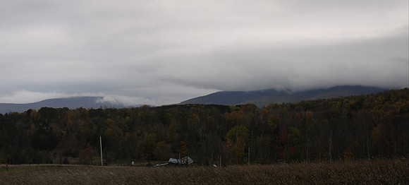 Greene County NY