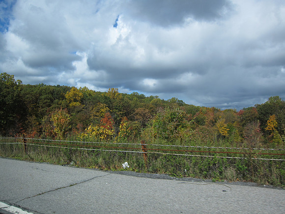 Greene County NY