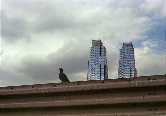The City