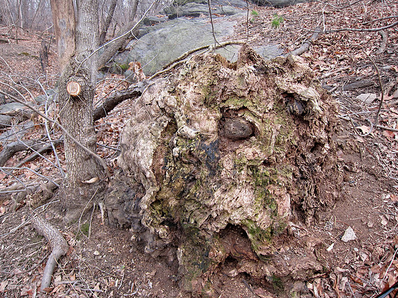Mound, Central Park