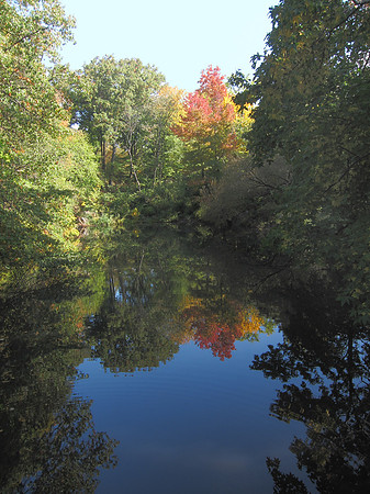 Upper Lobe of The Lake (Bank Rock Bay), Central Park, Autumn