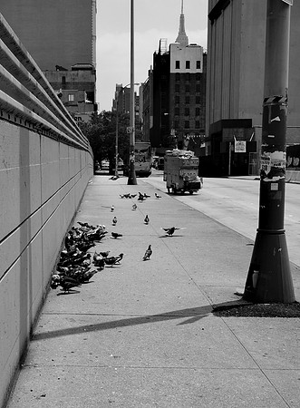 Hell's Kitchen