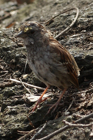 DSC03767