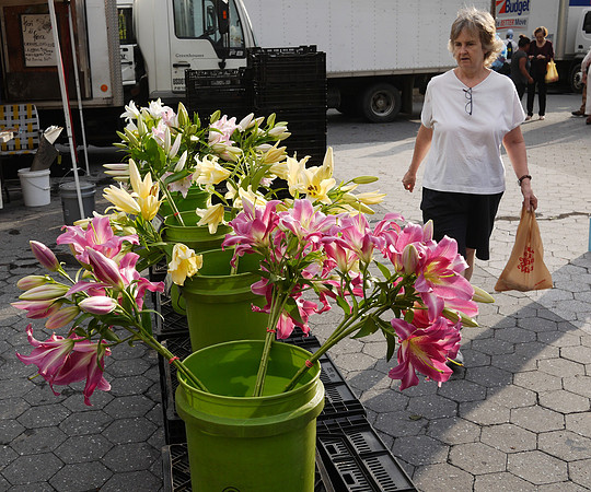 Union Square greenmarket