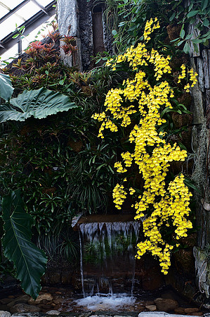 Longwood Gardens
